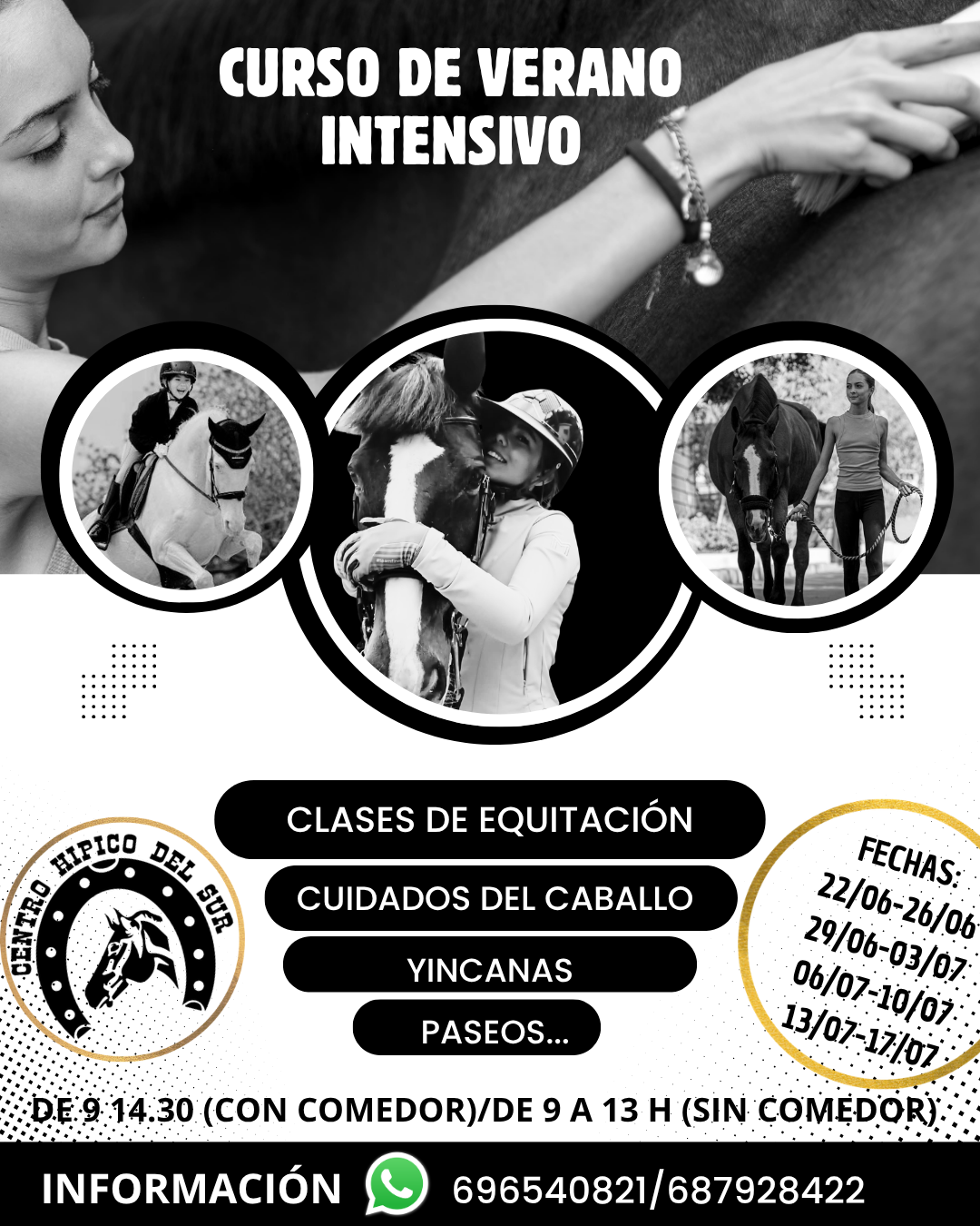 campamento-2026 campamento-2026