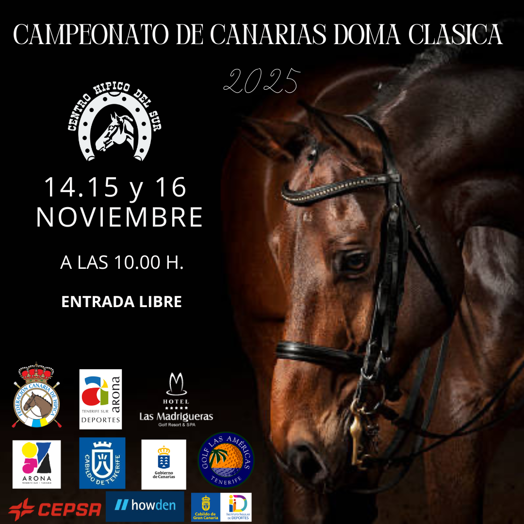 cartel-campeonato-doma-2025